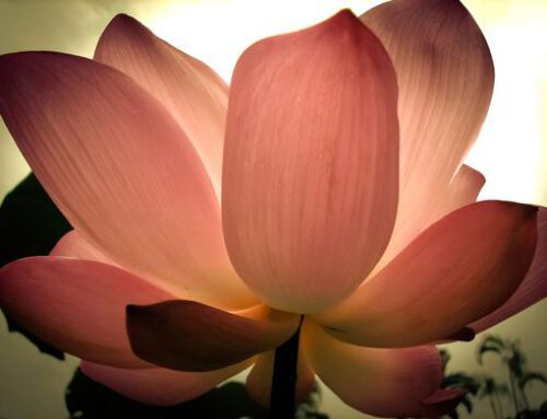 Aurenschutz-Meditation: Fühle dich sicher, geschützt und verbunden in deinem Zuhause