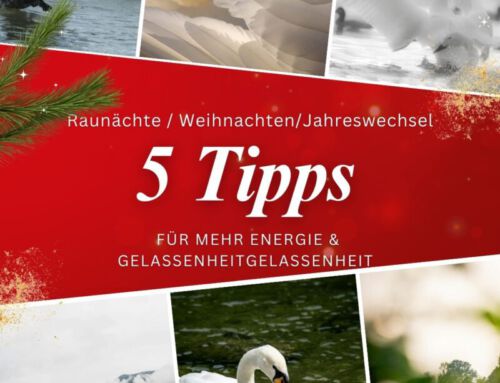 🌙 Zwischen den Jahren – Gelassenheit, Sammlung und ein guter Start ins neue Jahr